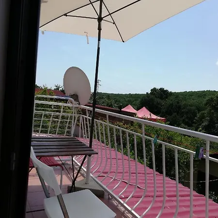 двойна фани Πανσιόν Sinemoretz